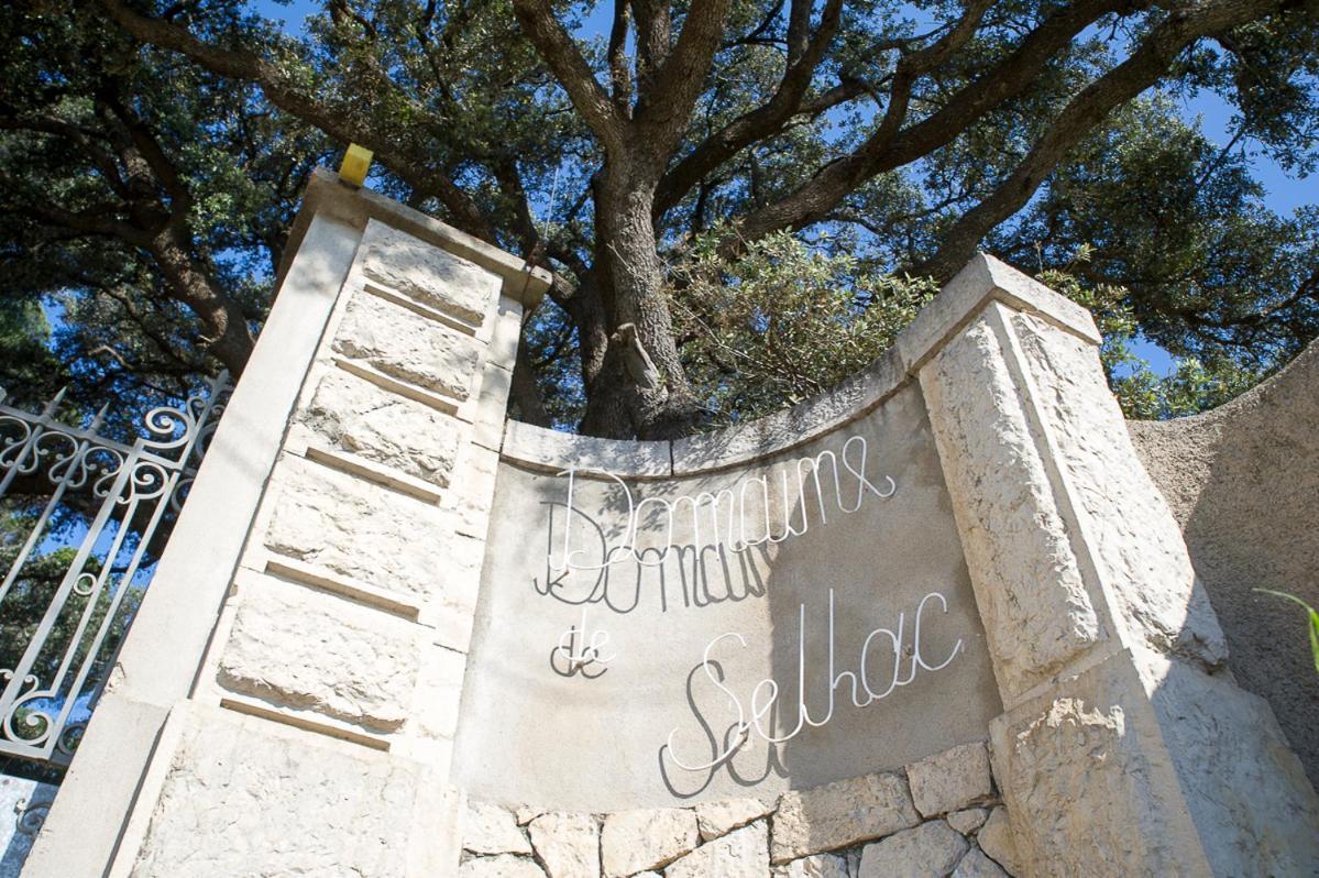 Domaine De Selhac Hotel Фронтинян Екстериор снимка